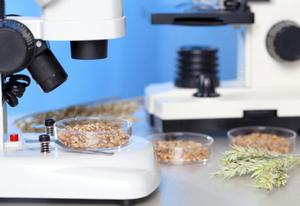 The food industry precinct finds a temporary home at La Trobe University’s R&D Park Bundoora campus.